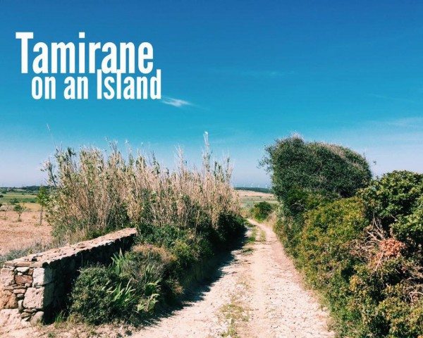 Tamirane on an Island_2