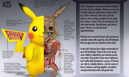 Pokémon karakterlerinin anatomileri incelendi