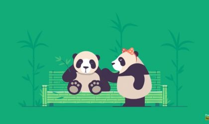 Pandalara aşk hayatında yardımcı olun
