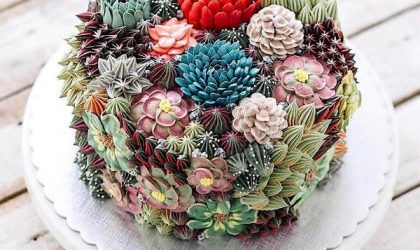 Kaktüsler ve çiçeklerle süslü pastalar