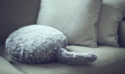 Robotik kedi yastık hayvan sevgisini pekiştiriyor