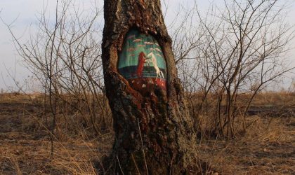 Dudnikova Eugene, grafitilerini ağaçlara yapıyor