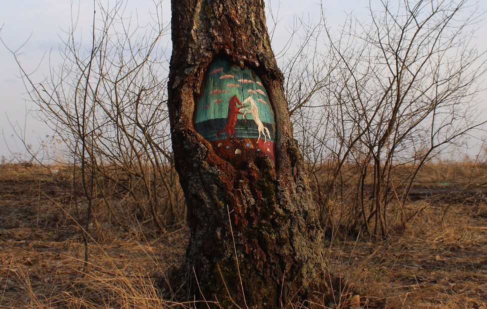 Dudnikova Eugene, grafitilerini ağaçlara yapıyor