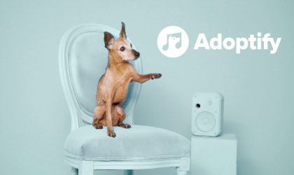 Müzik zevkine göre hayvan dostunu seçmek isteyenler için: Adoptify