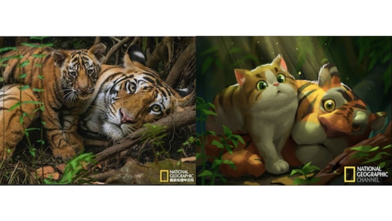 National Geographic fotoğrafları tatlı çizimlerle yeniden canlanıyor